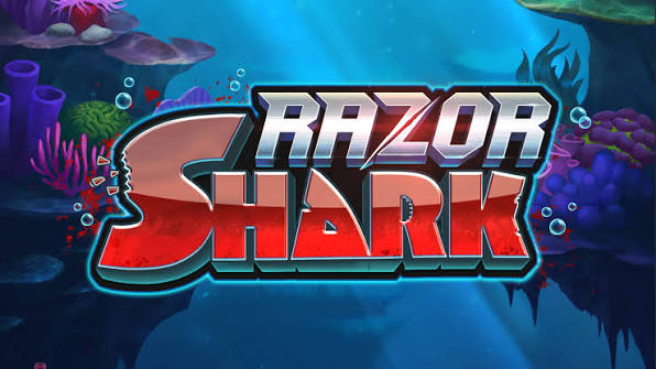 Razor Shark Jackpots Port Testimonial